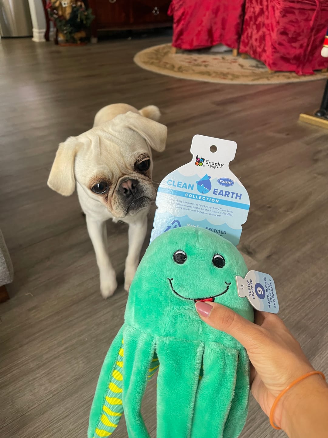 Customer photo review of Clean Earth Plush - 100% Sustainable