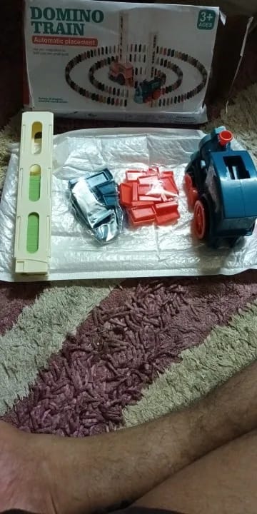 Customer photo review of Train électrique Domino éducative (+ Dominos offerts)