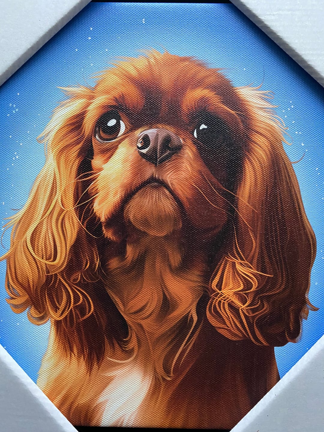 Customer photo review of Custom Pet Portrait - 1 Pet