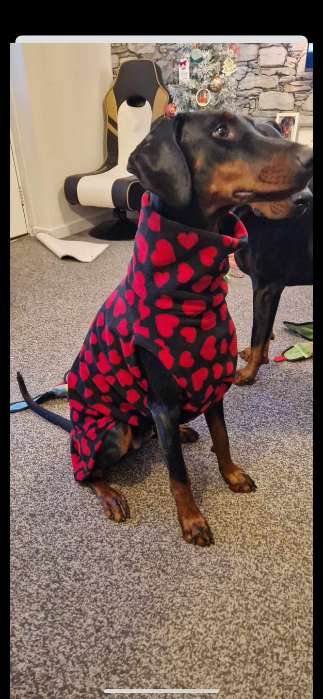 Customer photo review of All Over Hearts Anti Pill Polar Fleece Fabric