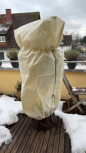 Customer photo review of Thermo Topfschutz L für Pflanzenüberwinterung H 50 cm x Ø 45 cm