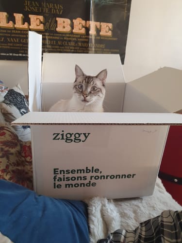 Avis photo d'un client sur Pâtée Chat Stérilisé Sans Céréales - Poulet