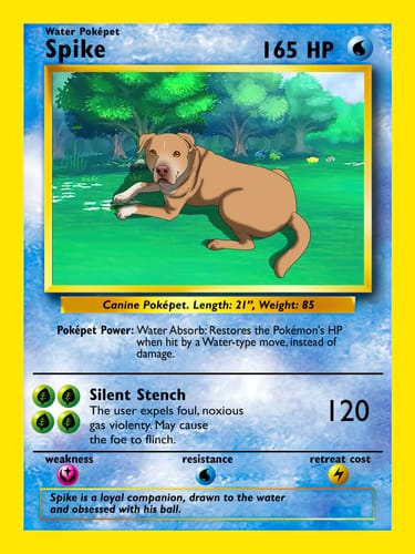 Customer photo review of Number of Pokepets and Trainers