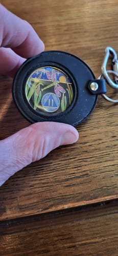 Customer photo review of 1 to 60 Year Dragonfly 9th Step Specialty AA Recovery Medallion - Tri-Plated Chip/Coin