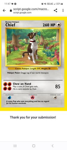 Customer photo review of Pokepet