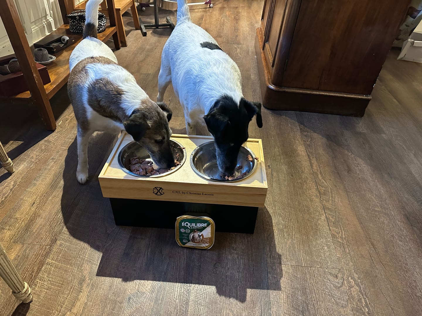 Customer photo review of Pâtées riches en canard & aux petits pois (chien adulte)