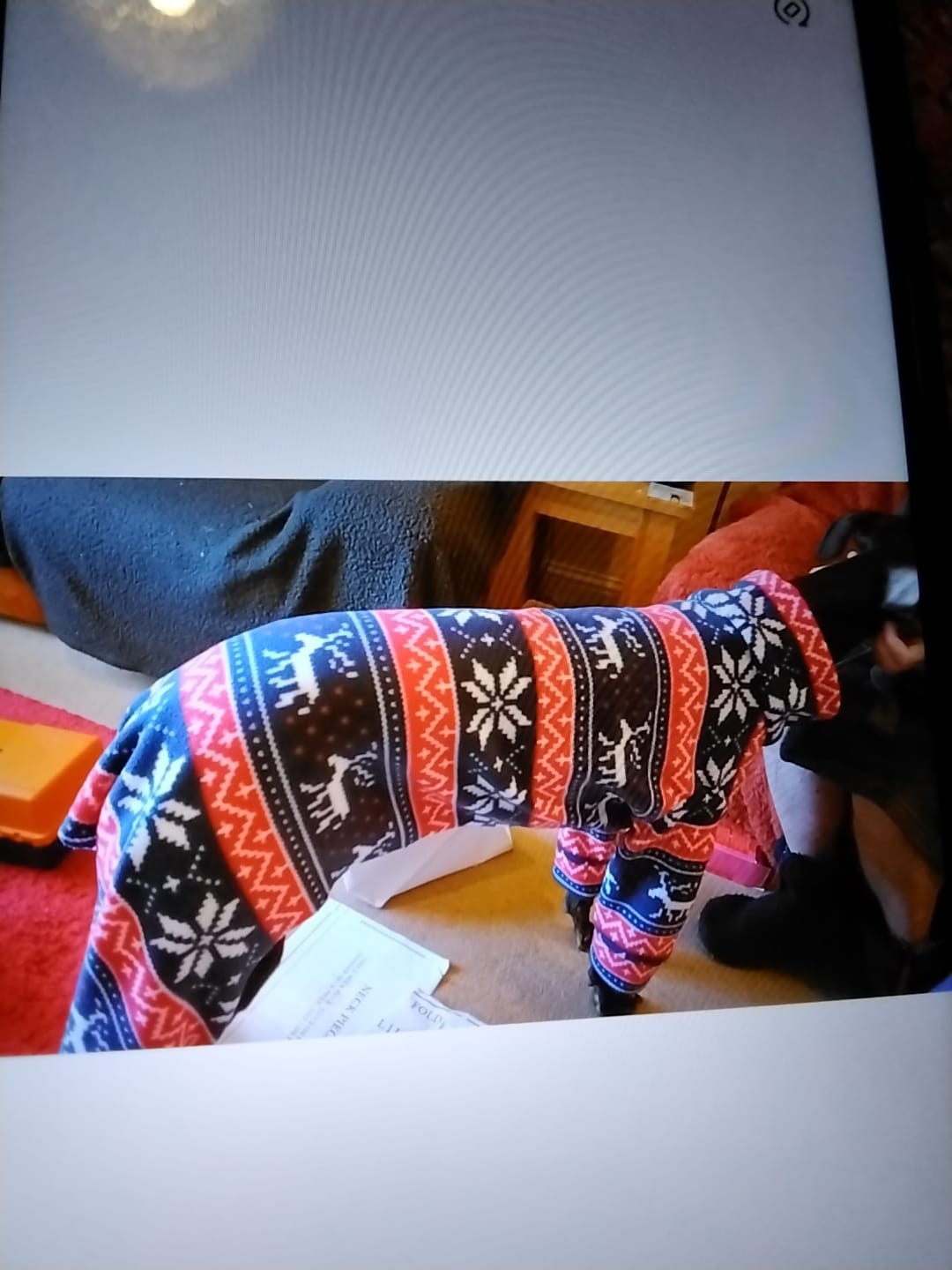 Customer photo review of Navy and Red Reindeer Anti Pill Polar Fleece Fabric