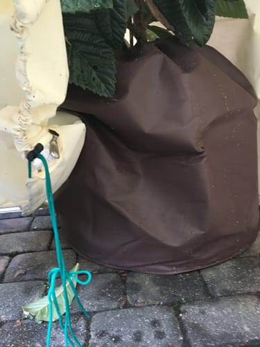 Customer photo review of Thermo Topfschutz XL für Pflanzenüberwinterung H 70 cm x Ø 65 cm