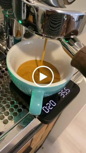 Customer video review of Wilde
