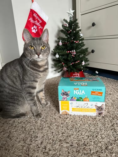 Customer photo review of Paté Variety Pack, 2.8-oz, Case of 12