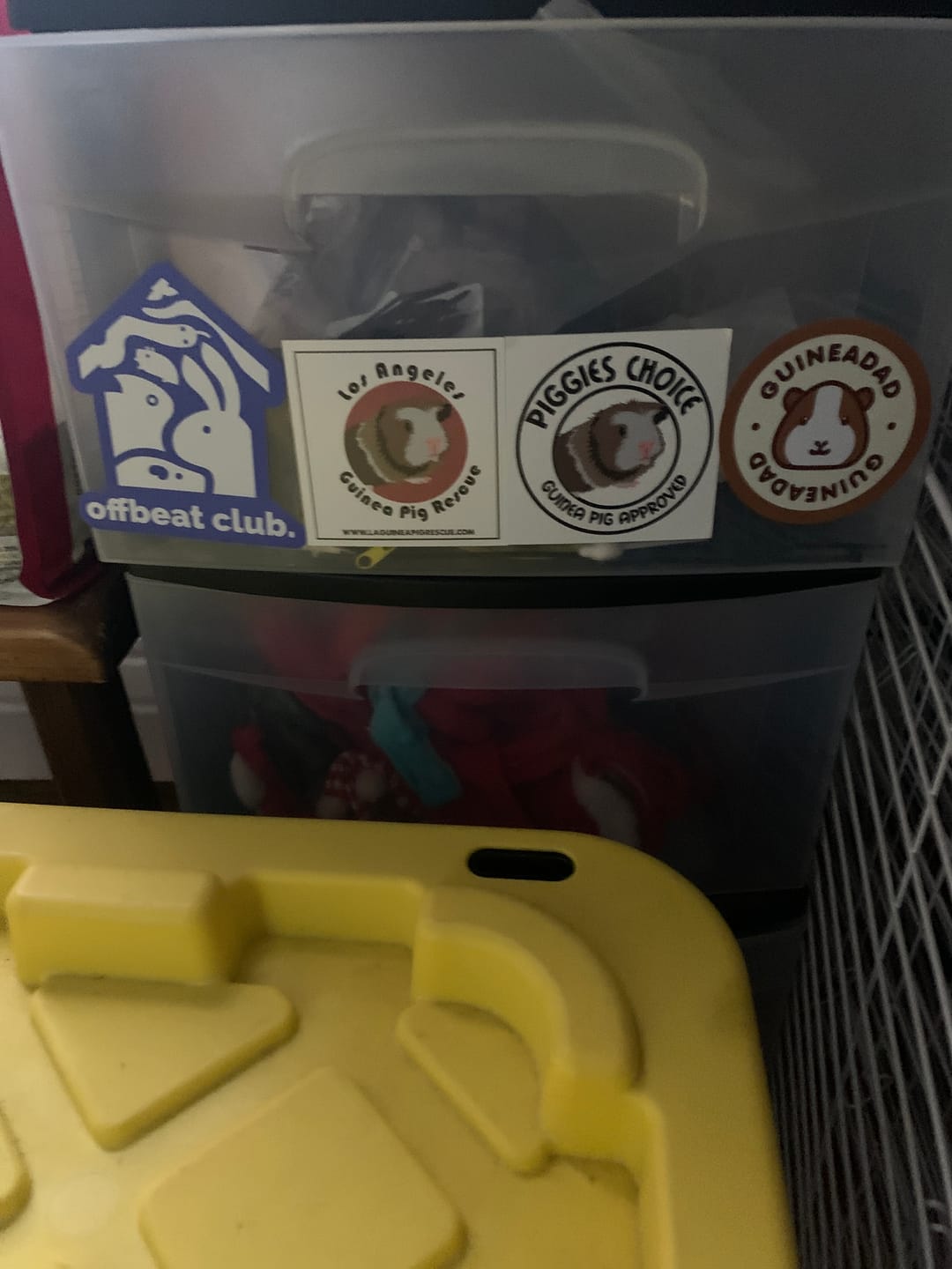 Customer photo review of GuineaDad Logo Sticker (2 Pack)