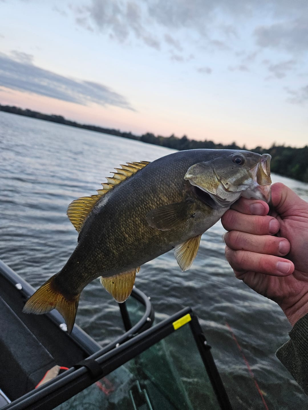 Customer photo review of Spinning Pre-Built Rod