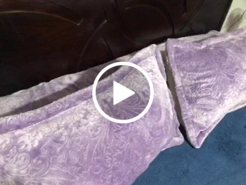 Customer video review of Luxurious Plain Hotel Pillow