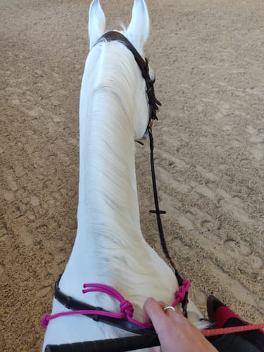 Customer photo review of Balancezügel CR