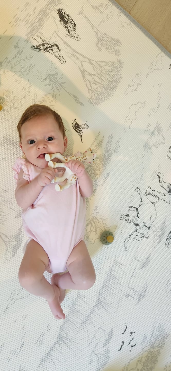 Customer photo review of Safari Toile/ Dune Play Mat