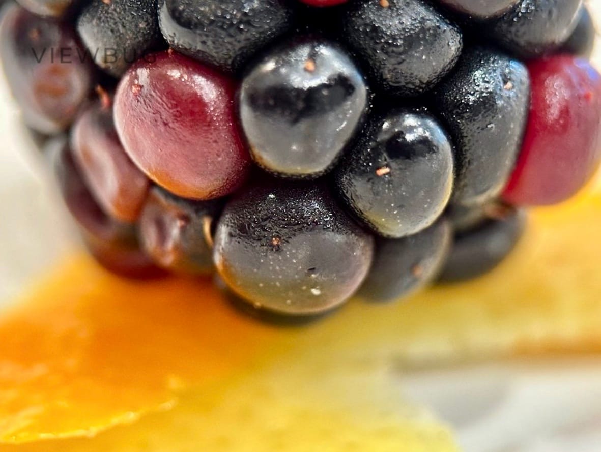 Customer photo review of Pro Series - Macro Lens