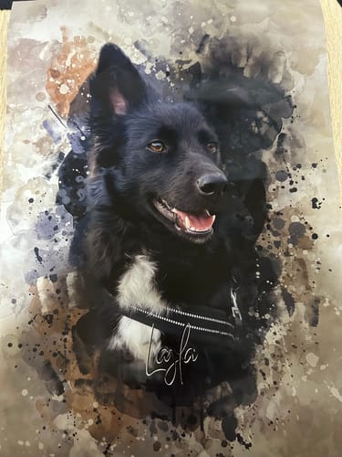 Customer photo review of Aquarell Pawtrait