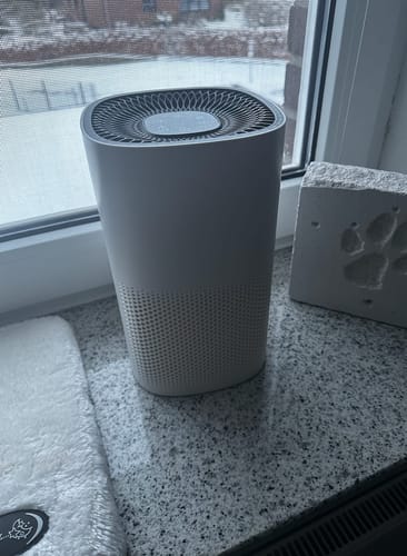 Customer photo review of AirWizard - Für ein allergenfreies Zusammenleben mit Katzen