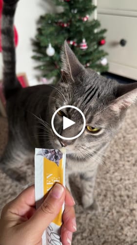 Customer video review of Chicken Recipe Cat Treats, Pack of 4