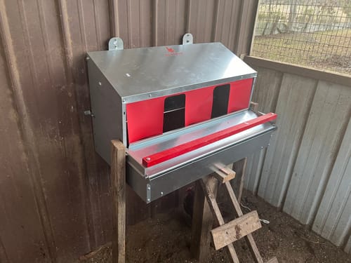Customer photo review of Medium (34") Reversible Rollout Nest Box (Up to 32 Hens) - Premium Grade - Ready to Ship