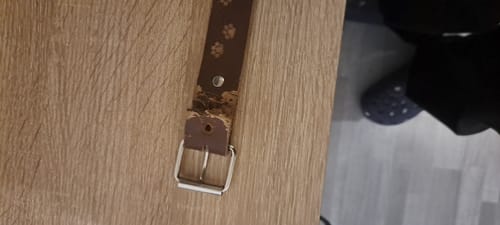 Customer photo review of Leder Hundehalsband Personalisierbar mit Hundename und/oder Telefonnummer