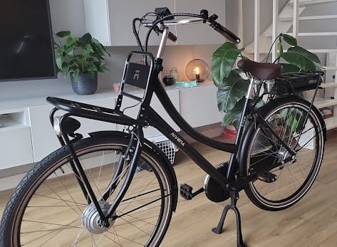 Customer photo review of E-Cargo N7