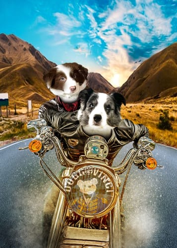 Customer photo review of 'Harley Wooferson' Personalized 2 Pet Canvas