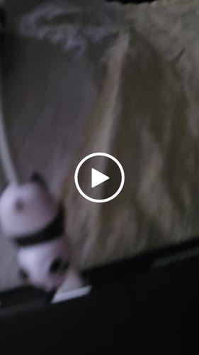 Customer video review of Cable Bite Charger Protector