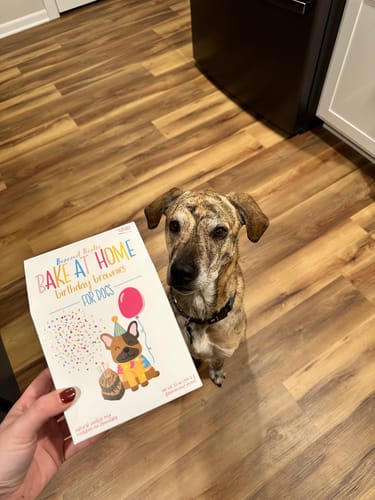 Customer photo review of Bake at Home Kits!