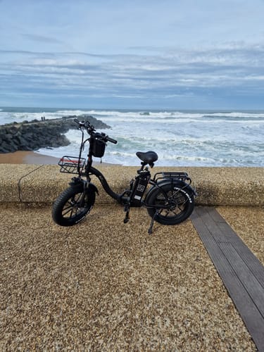 Customer photo review of CMACEWHEEL Y20 750W 20" Step-through Folding Electric Fat Bike