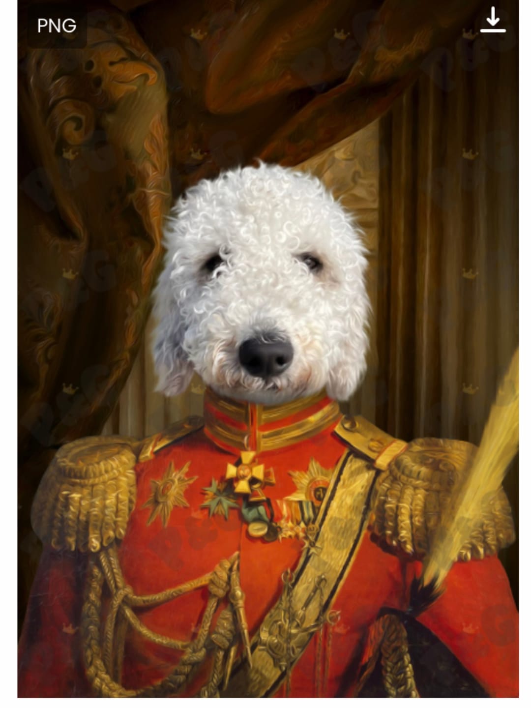 Customer photo review of The Duke: Custom Pet Portrait