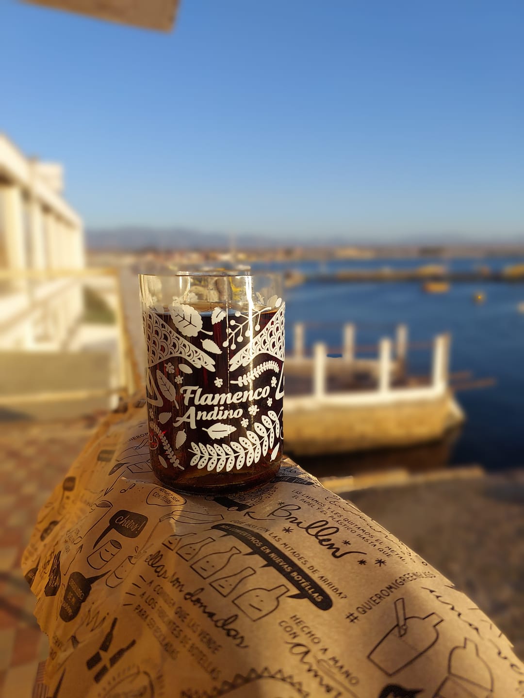 Customer photo review of Aves de Chile Juego de 4 Vasos