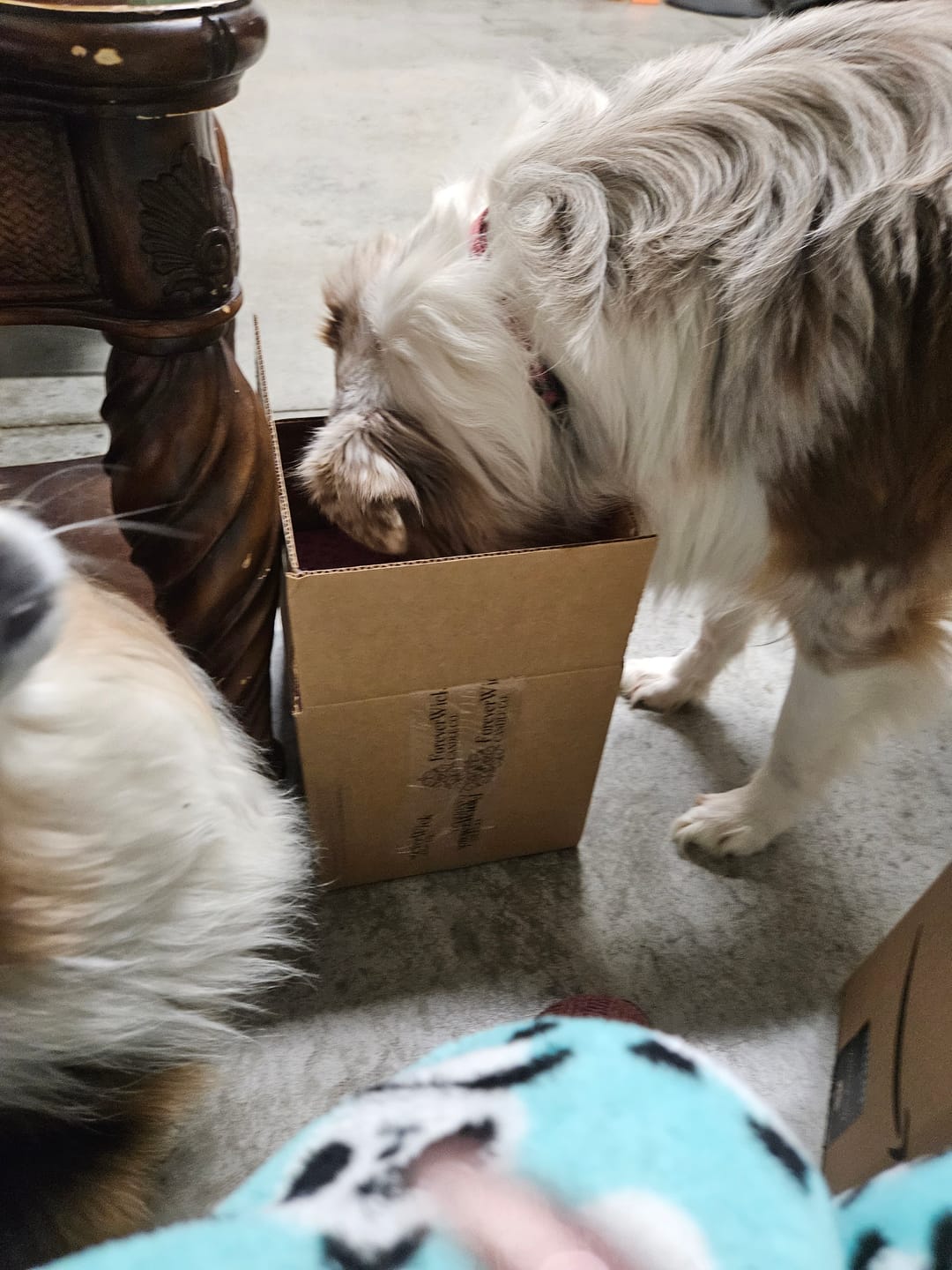 Customer photo review of My Last Fu**...Oh Look, It's on Fire Diamond Candle