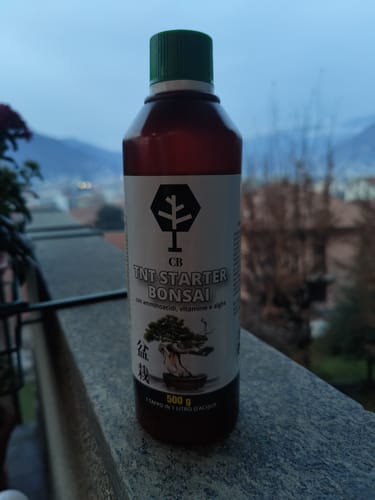 Customer photo review of TNT STARTER BONSAI CB® (partenza primaverile)