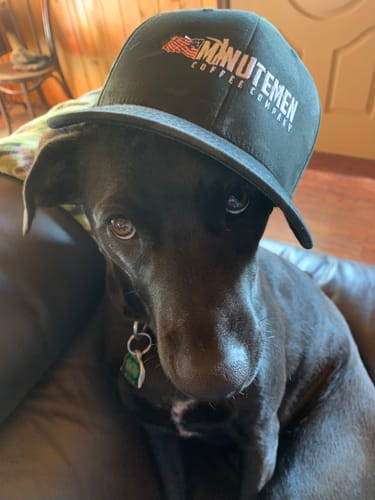 Customer photo review of Twill Flex Cap (MMCC logo)