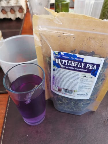 Customer photo review of Butterfly Pea / Guisante Flor de Mariposa