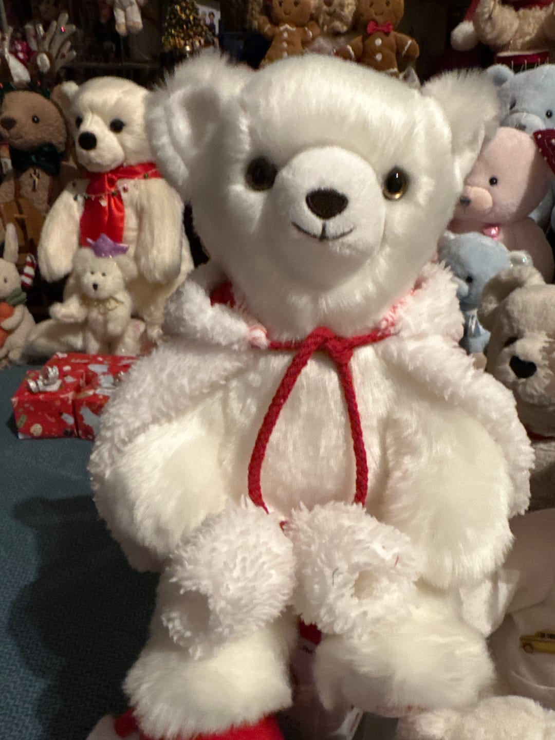 Customer photo review of Ma peluche Ours Émile