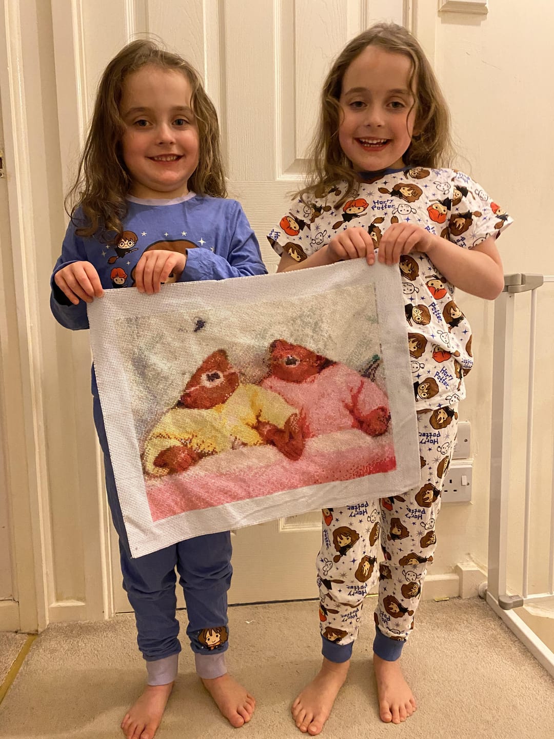 Customer photo review of Custom Couple Cross Stitch Tapestry Kit | Just Upload Your Photo!