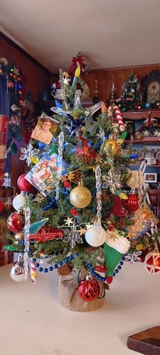 Customer photo review of Dichroic Starfish Suncatcher with Infused Cremains