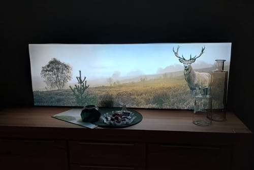 Customer photo review of Canvalight® Leuchtbild | Rothirsch im Nebel | Panorama