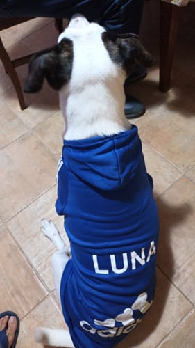 Customer photo review of Felpa "Adidog" Blu Personalizzabile con nome