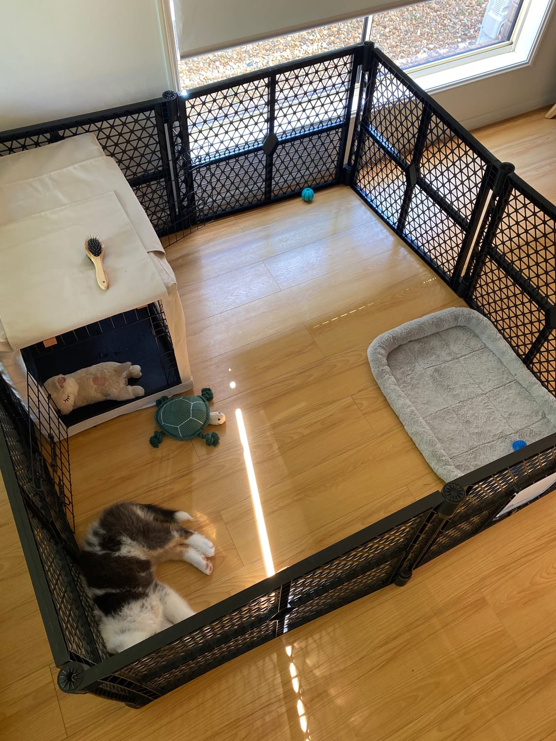 Customer photo review of PaWz Pet Foldable Portable Playpen Garden Outdoor