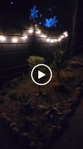 Customer video review of Litehouse Solar LED Mini Outdoor Bulb String Lights - Classic Bulb - 5V - Black String