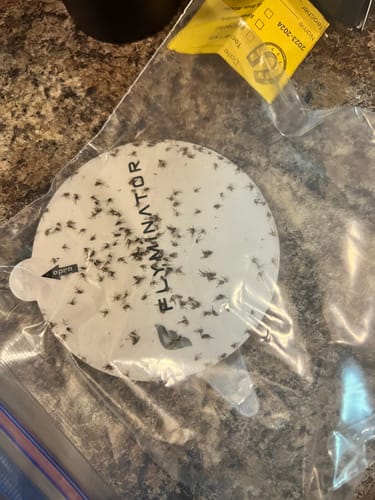 Customer photo review of Sticky Glue Boards for Flyminator Insect Trap (10-Pack)