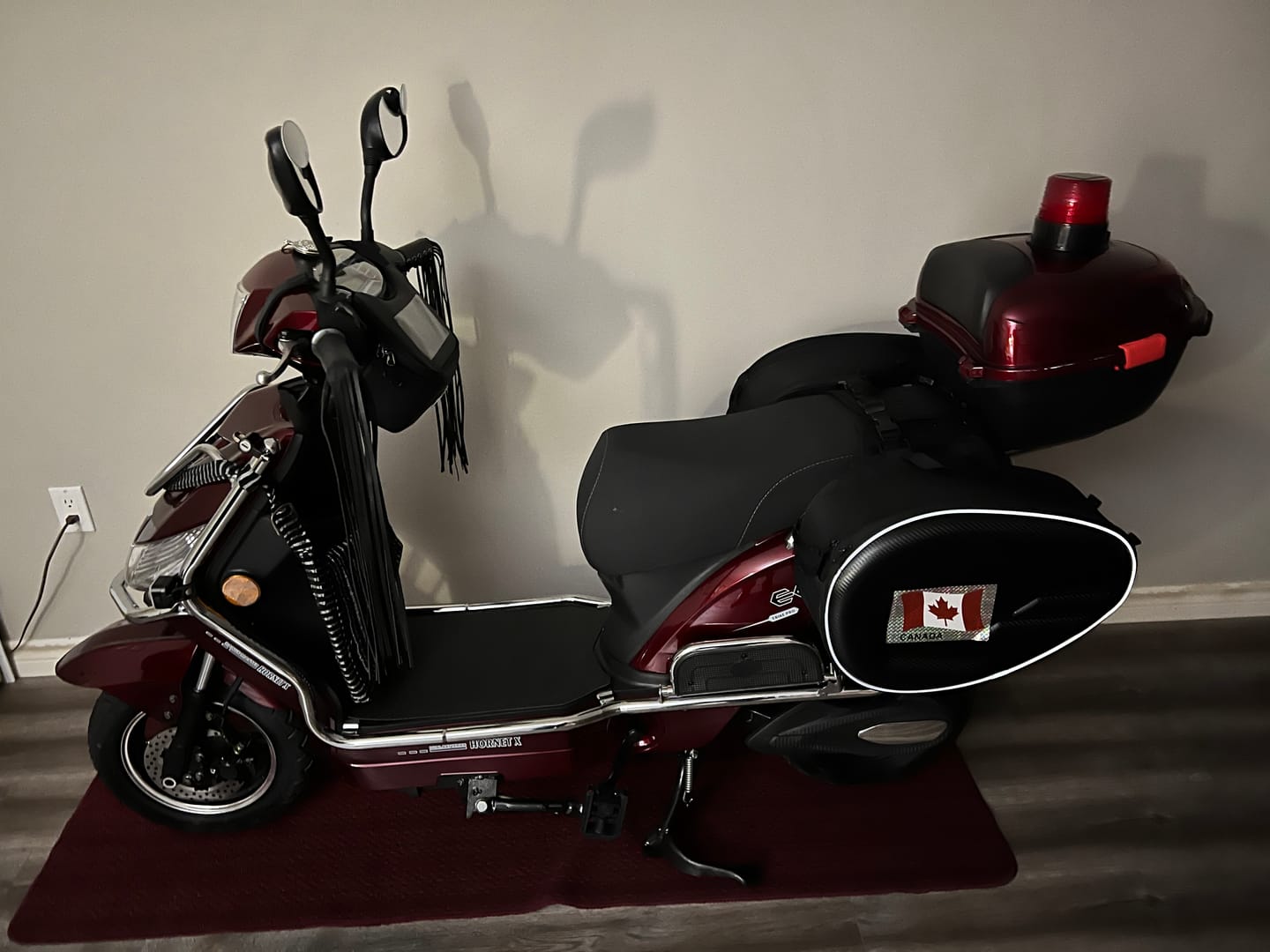 Customer photo review of E-Bike Rain Cover