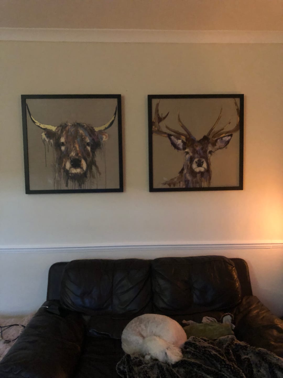 Customer photo review of Majesty Medium By Louise Luton