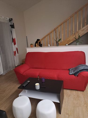 Customer photo review of Rouge - Housses Extensibles de Fauteuil et Canapé