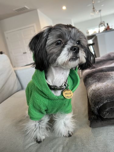 Customer photo review of Floral - Chippit ID