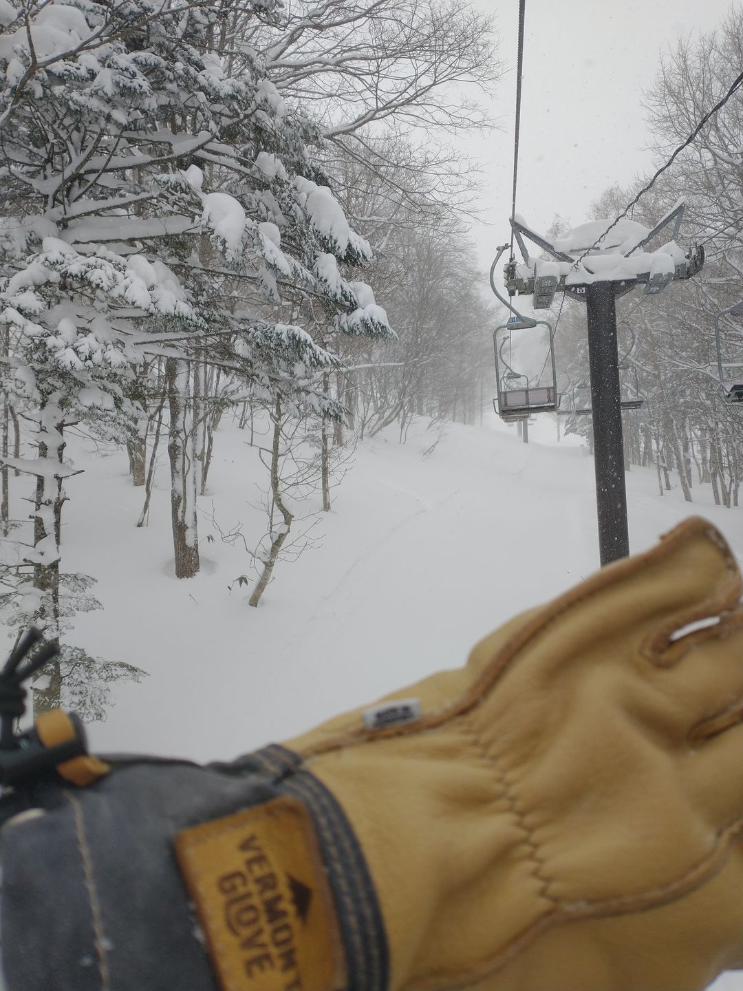 Customer photo review of Uphill Skier