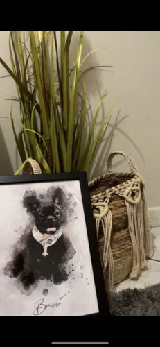 Customer photo review of Πορτραίτο Κατοικίδιου - Νερομπογιά